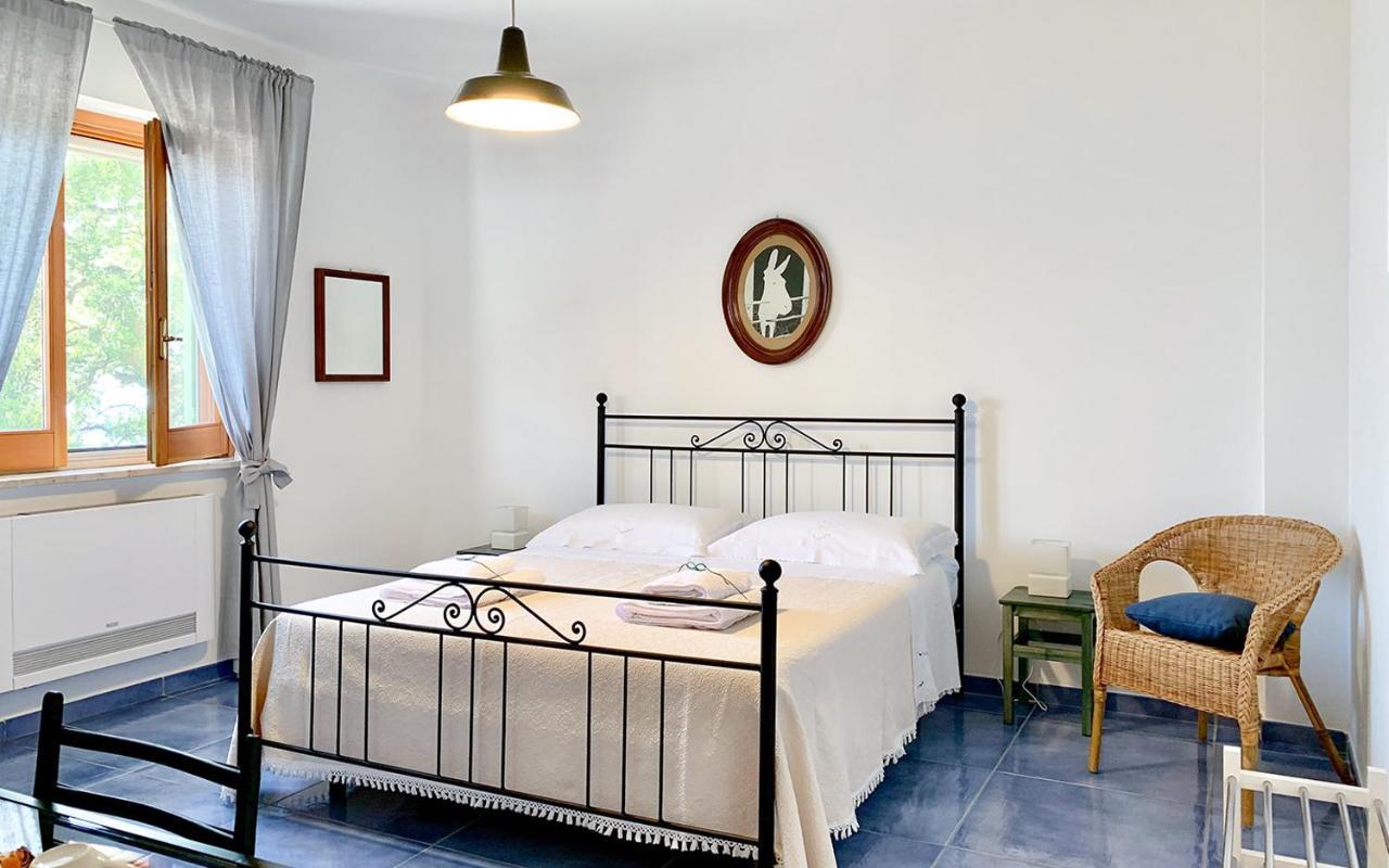Drius Edode - B&B Affittacamere Torraca Екстериор снимка